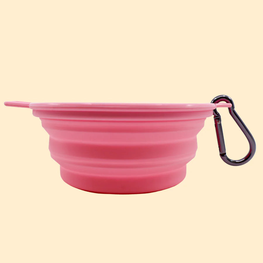 PABLO & CO. COLLAPSIBLE DOG WATER BOWL