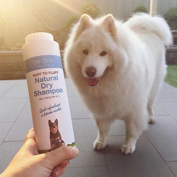 DR ZOO TALC FREE DRY SHAMPOO