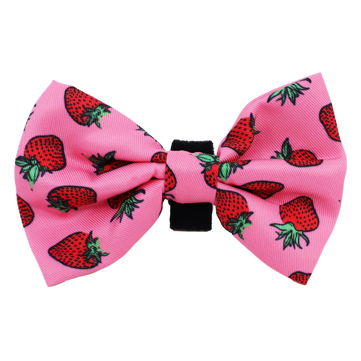 PABLO & CO. BOW TIE