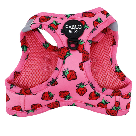 PABLO & CO. CAT STEP IN HARNESS