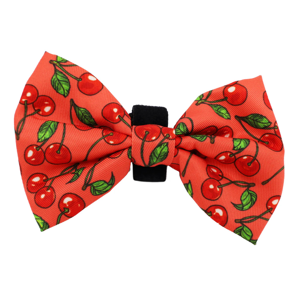 PABLO & CO. BOW TIE