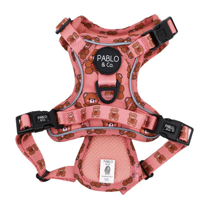 PABLO & CO. ADVENTURE HARNESS