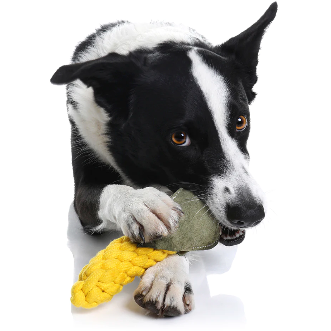 COUNTRY TAILS ROPE TOY - SWEET CORN