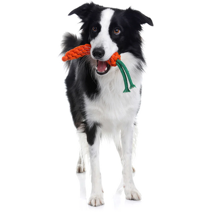 COUNTRY TAILS ROPE TOY - CARROT