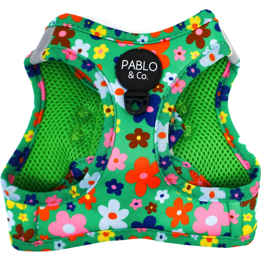 PABLO & CO. CAT STEP IN HARNESS