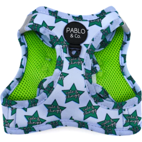 PABLO & CO. CAT STEP IN HARNESS