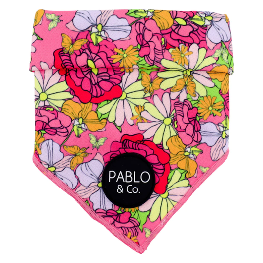 PABLO & CO. BANDANA