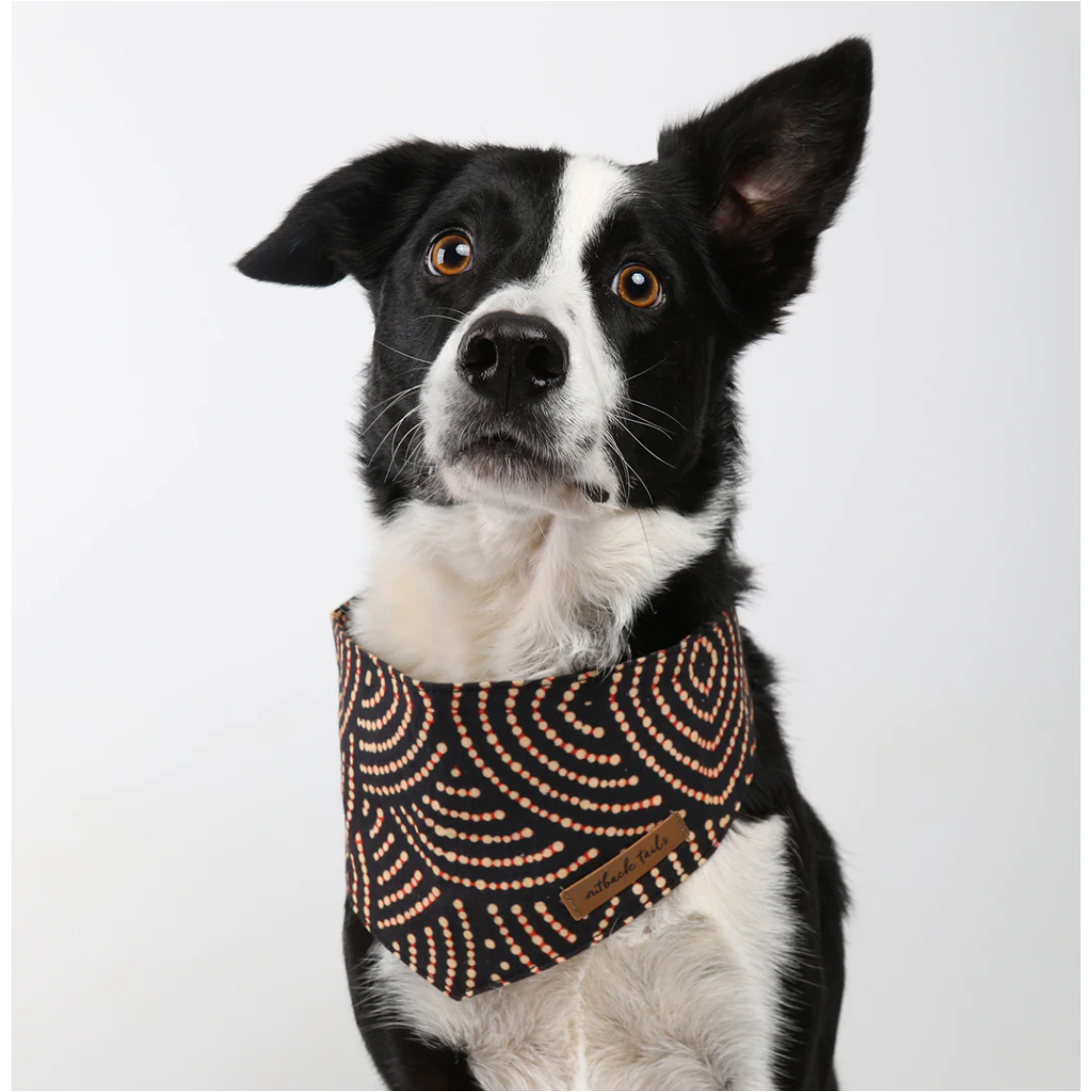 OUTBACK TAILS BANDANA