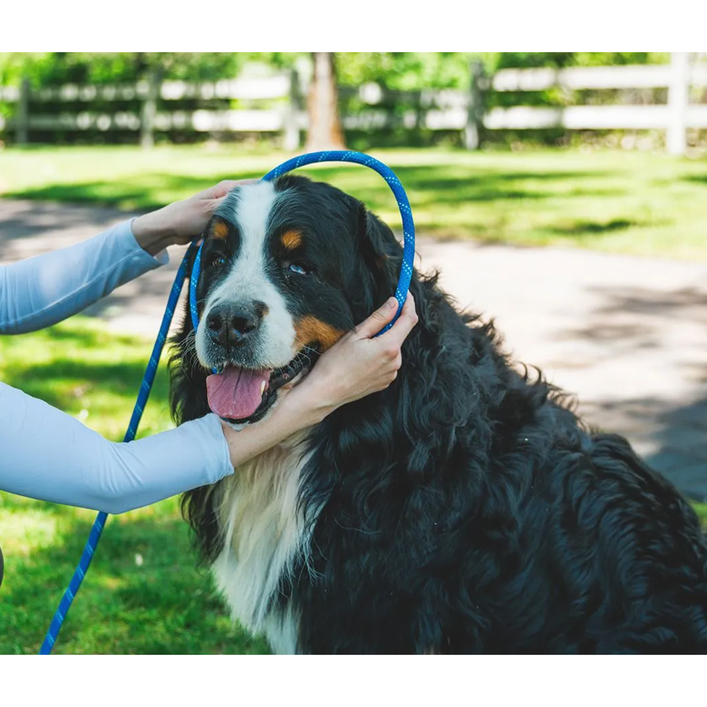 RUFFWEAR LEAD JUST-A-CINCH