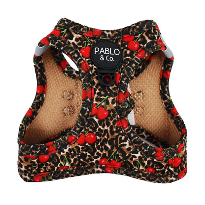 PABLO & CO. CAT STEP IN HARNESS